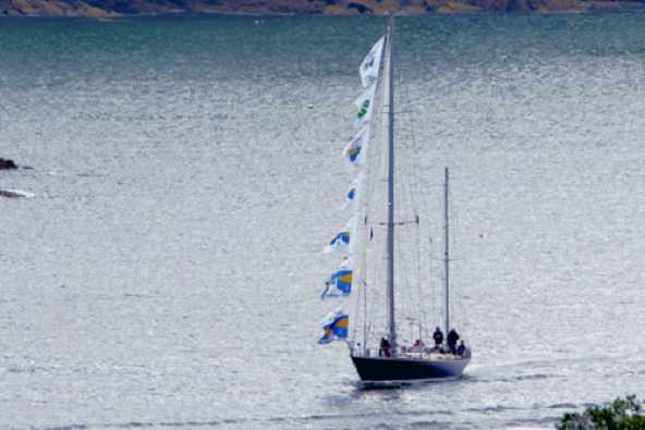 28 July 2023 - 09:15:38

-----------------
Fastnet competitor Lulotte